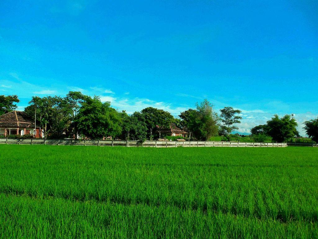 Palm Spa Village Resort Mae Rim Exterior foto